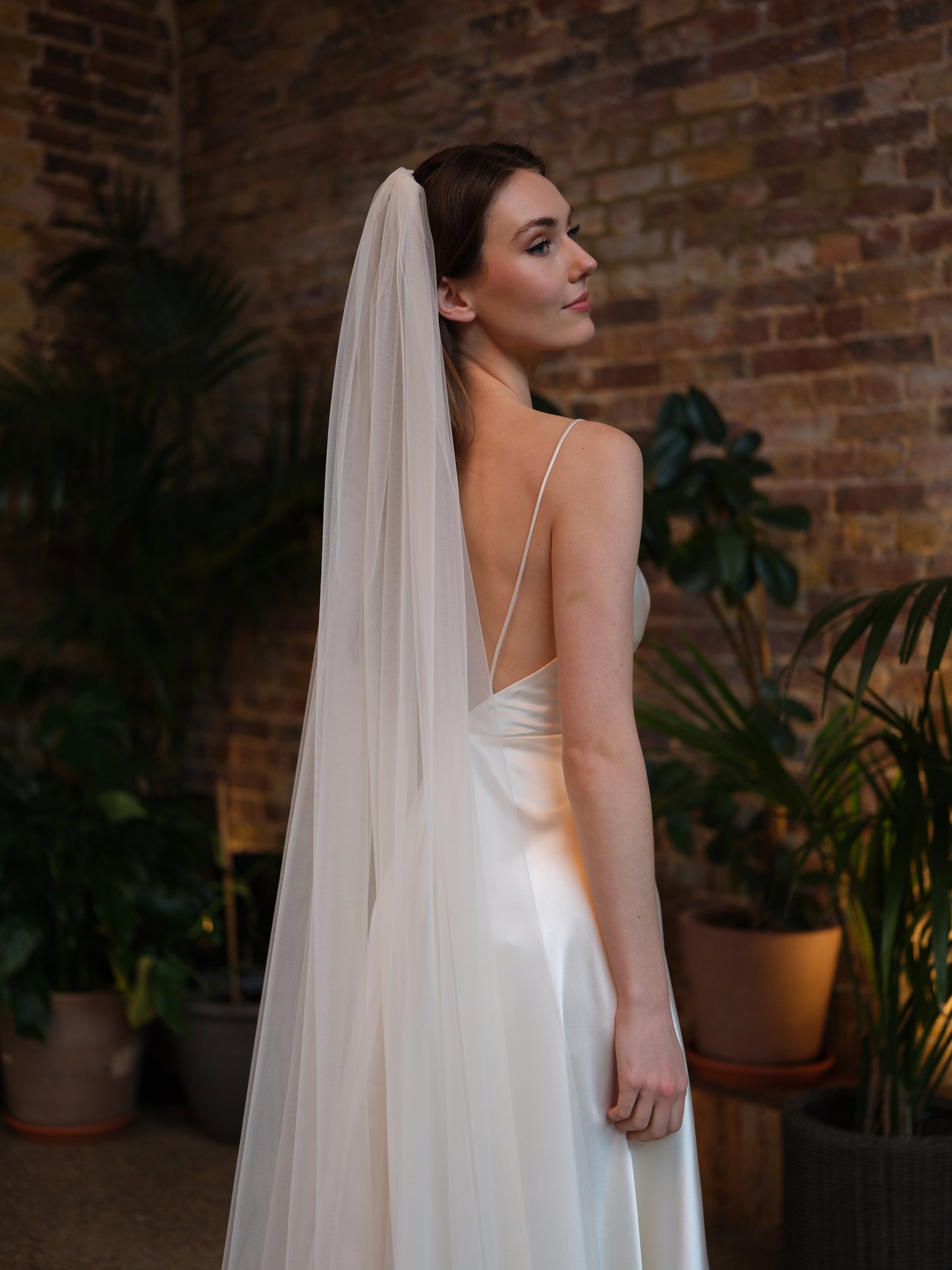 Abby Veil